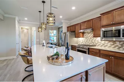 19287 Coastal Shore Terrace, Land O Lakes, FL 34638 - Photo 32