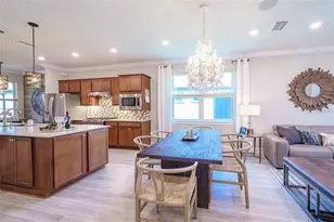 19287 Coastal Shr Ter, Land O Lakes, FL 34638 - Photo 2