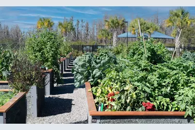 19287 Coastal Shore Terrace, Land O Lakes, FL 34638 - Photo 54