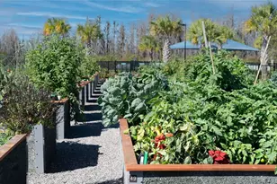 19287 Coastal Shr Ter, Land O Lakes, FL 34638 - Photo 54