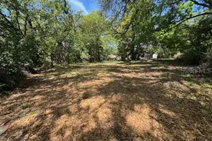 1408 E Dr Martin Luther King Jr Blvd, Tampa, FL 33603 - Photo 1