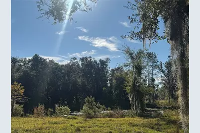 5812 N Dormany Road, Plant City, FL 33565 - Photo 30