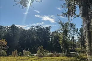 5812 N Dormany Rd, Plant City, FL 33565 - Photo 30