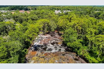 Anno Street, Tampa, FL 33625 - Photo 2