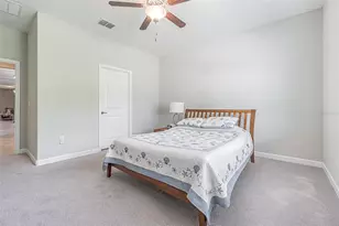 17124 Balance Cv, Land O Lakes, FL 34638 - Photo 26