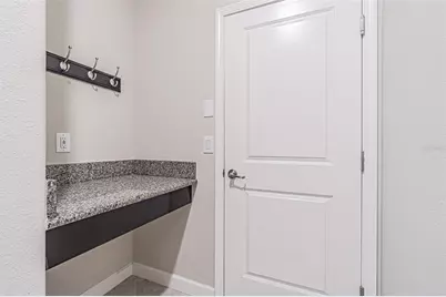 17124 Balance Cove, Land O Lakes, FL 34638 - Photo 32