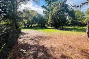 17222 Dansville Dr, Spring Hill, FL 34610 - Photo 32