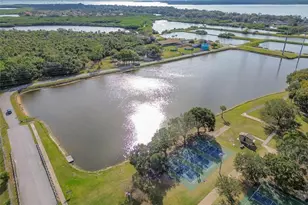 311 Shore Dr E, Oldsmar, FL 34677 - Photo 66