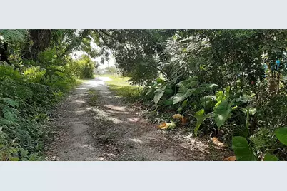 35204 Ponderosa Road, Zephyrhills, FL 33541 - Photo 46