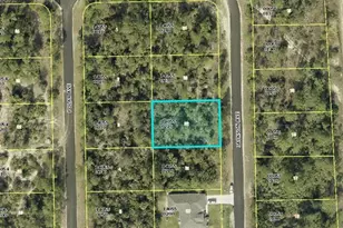 2119 Jackson Ave, Alva, FL 33920 - Photo 1