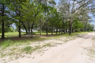 4291 N Mandrake Point, Crystal River, FL 34428 - Photo 74