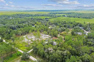 4291 N Mandrake Point, Crystal River, FL 34428 - Photo 80