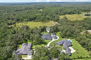 3317 Chase Jackson Br, Lutz, FL 33559 - Photo 66