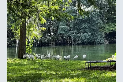 10801 SW 185th Terrace, Dunnellon, FL 34432 - Photo 32