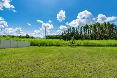 14529 Woodland Spur Drive, Lithia, FL 33547 - Photo 36