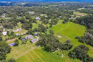 1517 Uncle Bud's Ln, Lithia, FL 33547 - Photo 40