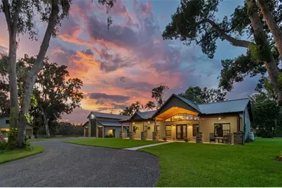 1517 Uncle Buds Lane, Lithia, FL 33547 - Photo 6