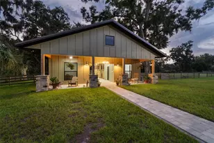 1517 Uncle Bud's Ln, Lithia, FL 33547 - Photo 36