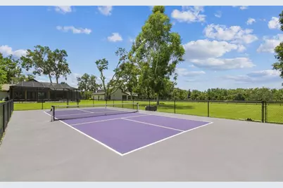 1517 Uncle Buds Lane, Lithia, FL 33547 - Photo 30