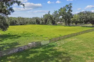 1517 Uncle Bud's Ln, Lithia, FL 33547 - Photo 38