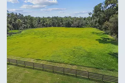 1517 Uncle Buds Lane, Lithia, FL 33547 - Photo 40