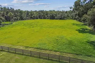 1517 Uncle Bud's Ln, Lithia, FL 33547 - Photo 40