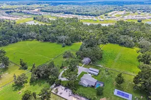 1517 Uncle Bud's Ln, Lithia, FL 33547 - Photo 42