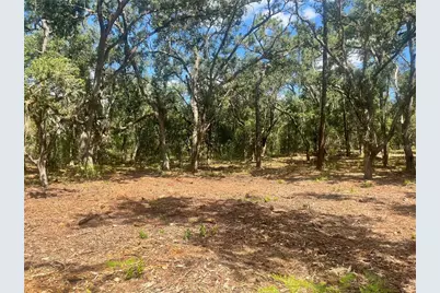 2 Sendcastle Drive, Groveland, FL 34736 - Photo 26