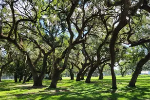 36645 Kay Ave, Zephyrhills, FL 33542 - Photo 34