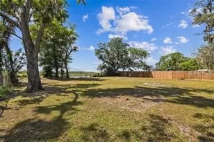 3414 Lindsey St, Dover, FL 33527 - Photo 8