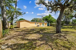 3414 Lindsey St, Dover, FL 33527 - Photo 10