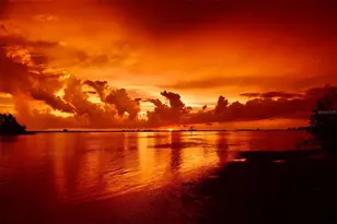 4603 Osprey Dr S, Saint Petersburg, FL 33711 - Photo 34