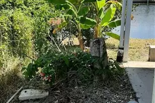 13922 Raie Ave, Hudson, FL 34667 - Photo 14