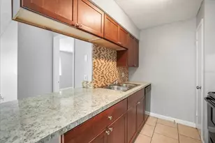 239 Red Maple Pl, Brandon, FL 33510 - Photo 8