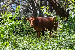 14765 US Hwy 41, Spring Hill, FL 34610 - Photo 30