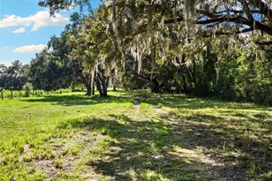 14765 US Hwy 41, Spring Hill, FL 34610 - Photo 54