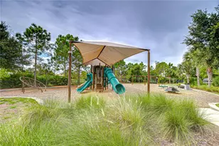 13318 Fawn Lily Dr, Riverview, FL 33579 - Photo 64