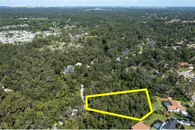 4710 Rambling River Road, Brandon, FL 33511 - Photo 10