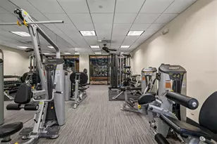 3301 Bayshore Blvd, Tampa, FL 33629 - Photo 60