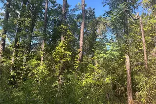 Tbd NE 137 Ct, Fort Mc Coy, FL 32134 - Photo 1