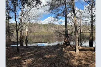 Tbd NE 137 Court, Fort Mc Coy, FL 32134 - Photo 14