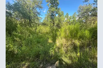 Tbd NE 137 Court, Fort Mc Coy, FL 32134 - Photo 8