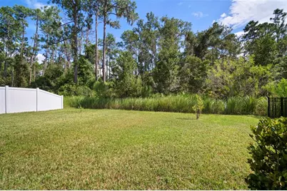 13223 Baby Belle Drive, Riverview, FL 33579 - Photo 38