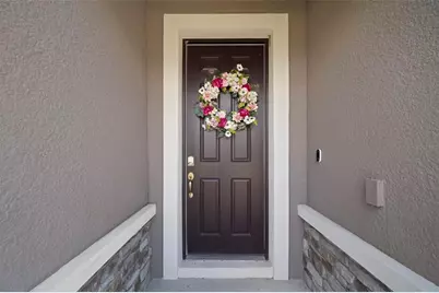 13223 Baby Belle Drive, Riverview, FL 33579 - Photo 4