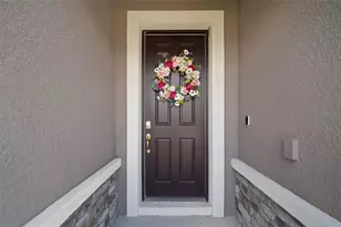 13223 Baby Belle Dr, Riverview, FL 33579 - Photo 4