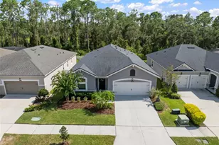 13223 Baby Belle Dr, Riverview, FL 33579 - Photo 2