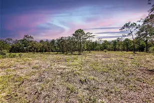 0 Sunshine Grove Rd, Brooksville, FL 34613 - Photo 10