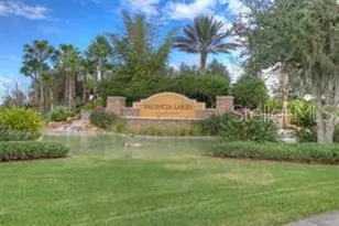16244 Diamond Bay Dr, Wimauma, FL 33598 - Photo 64