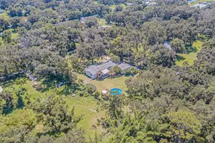 3349 Oakwood Dr, Wesley Chapel, FL 33543 - Photo 56