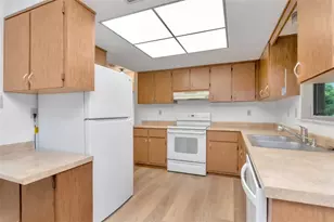 3250 Causeway Dr, Palm Harbor, FL 34684 - Photo 26